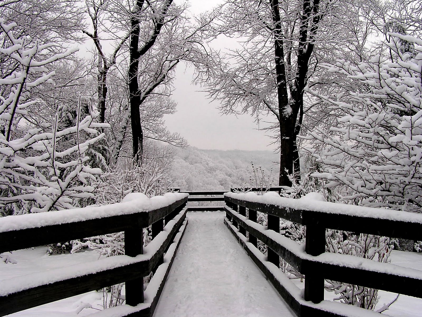 Snowfall. Симметрия зима. Фото симметрия зима. Зачем приходит зима. Snow Black and White.